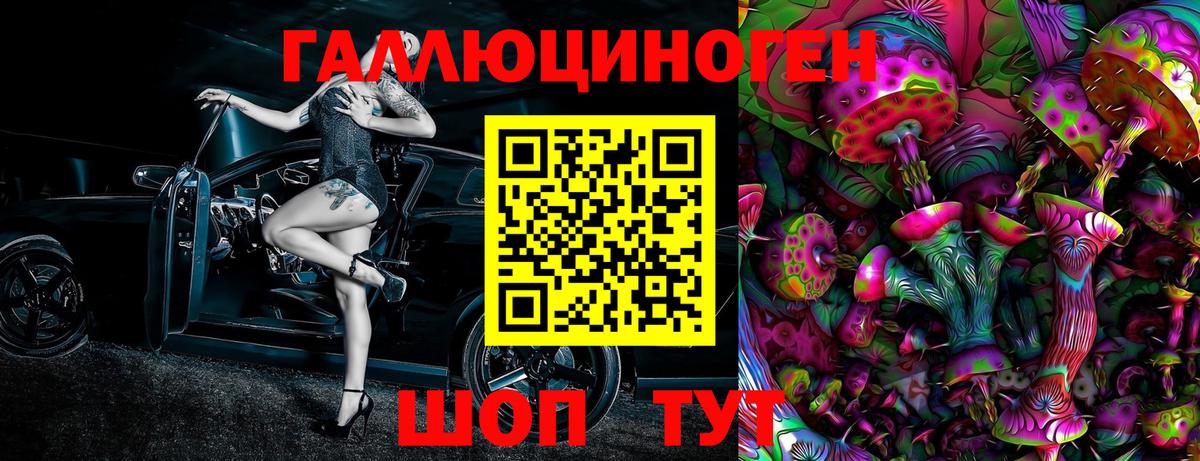 Псилоцибиновые грибы Psilocybe Тамбов
